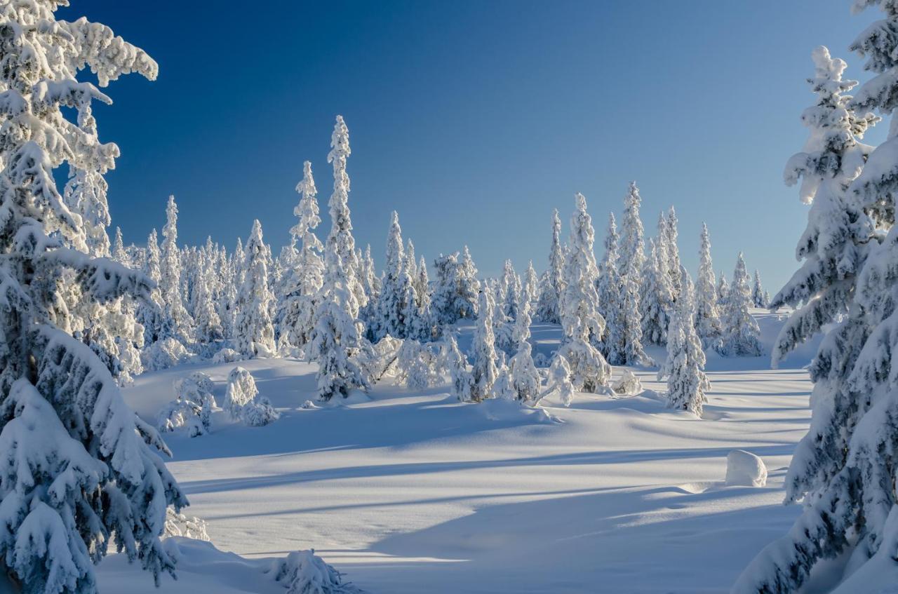 Blefjell Lodge Lampeland Dış mekan fotoğraf