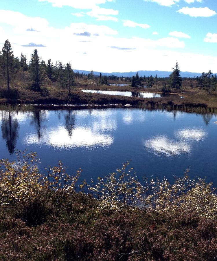 Blefjell Lodge Lampeland Dış mekan fotoğraf